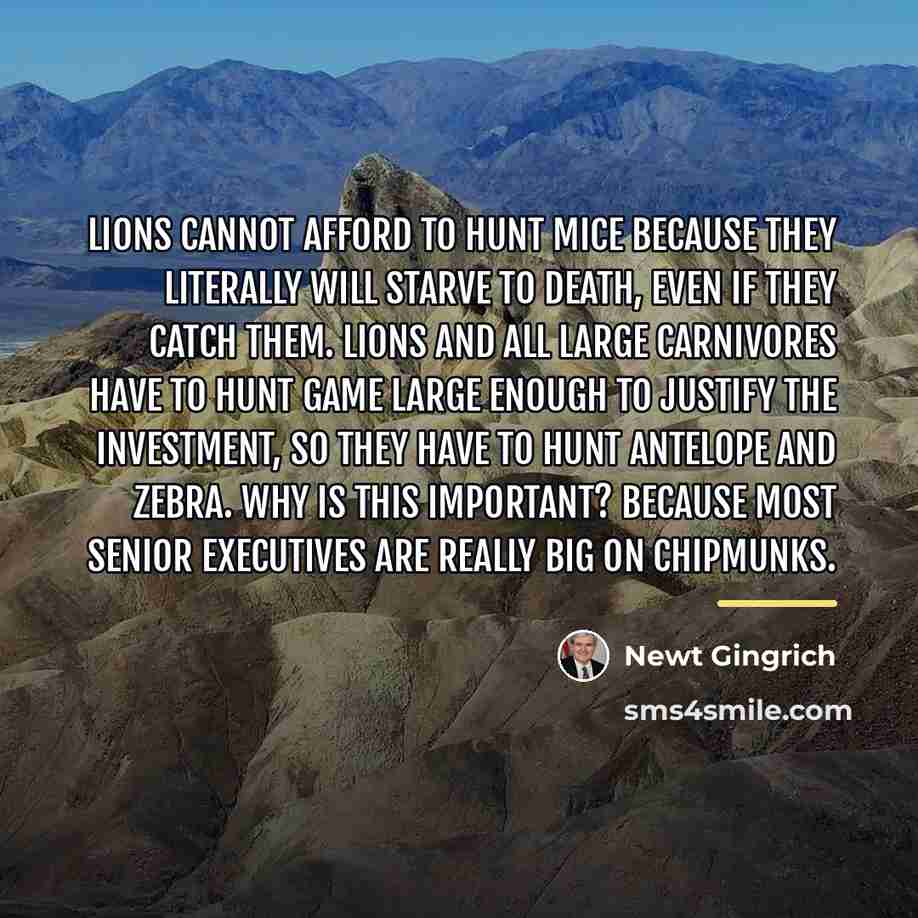 “Lions cannot afford to hunt mice because they literally will…” quote by Newt Gingrich