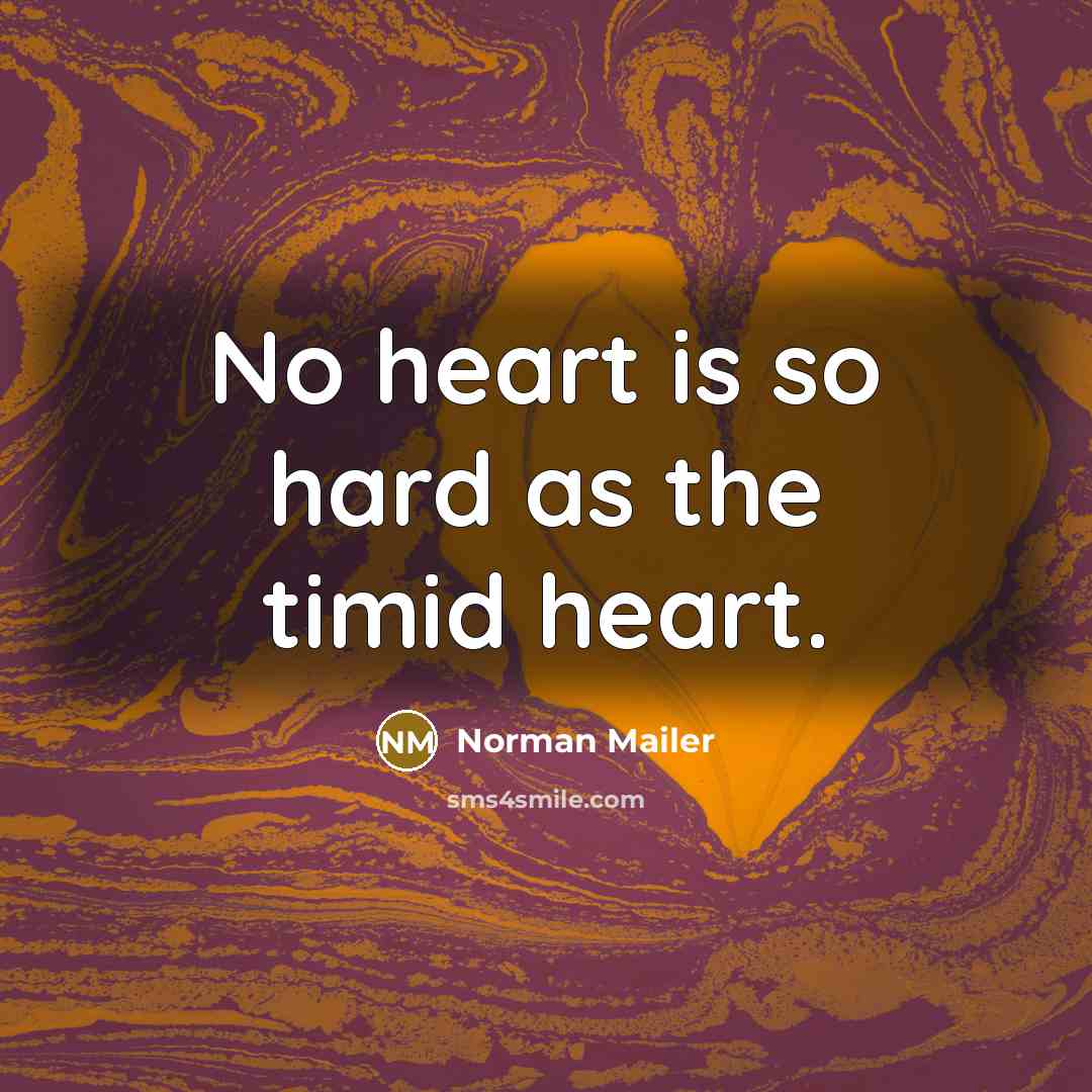 “No heart is so hard as the timid heart.…” quote by Norman Mailer
