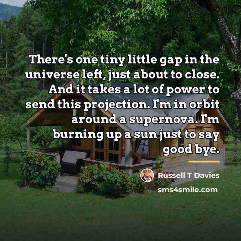 “There's one tiny little gap in the universe left, just…” quote by Russell T Davies