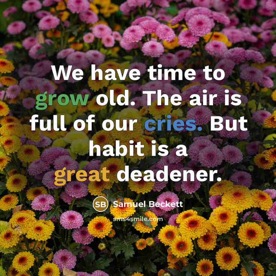 “We have time to grow old. The air is full…” quote by Samuel Beckett