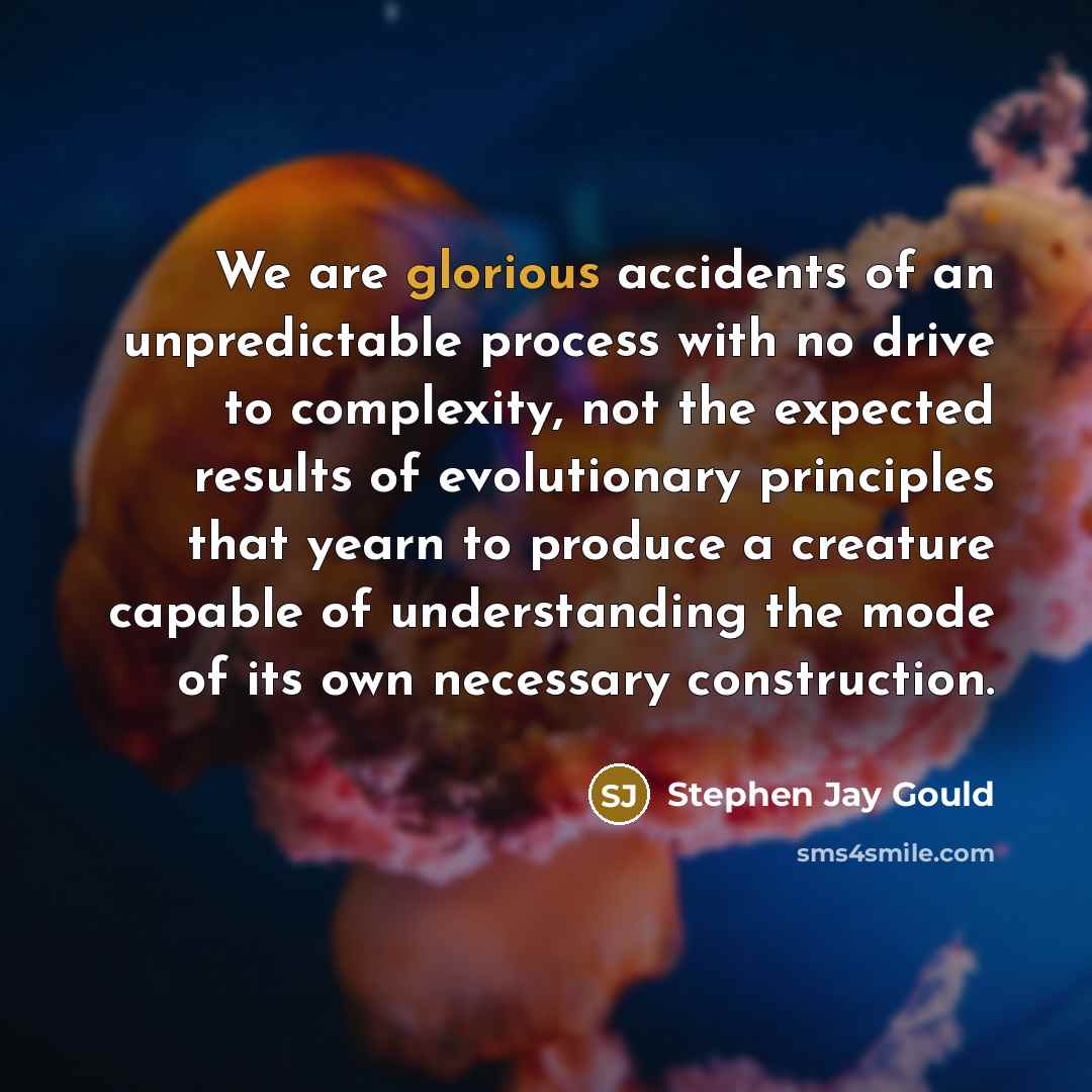 “We are glorious accidents of an unpredictable process with no…” quote by Stephen Jay Gould