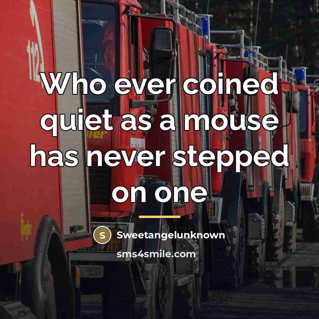 “Who ever coined quiet as a mouse has never stepped…” quote by Sweetangelunknown