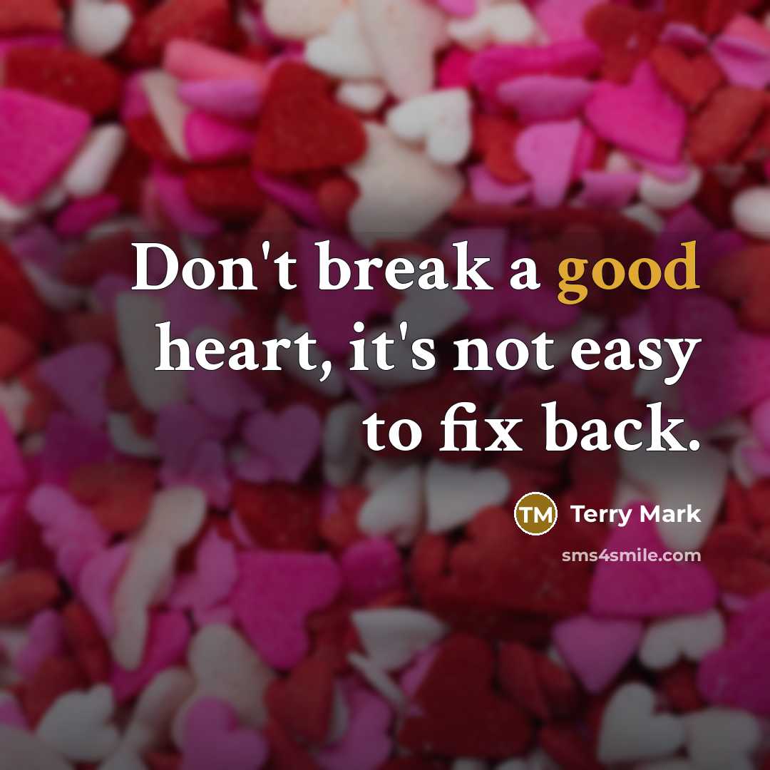“Don't break a good heart, it's not easy to fix back.” quote by Terry Mark