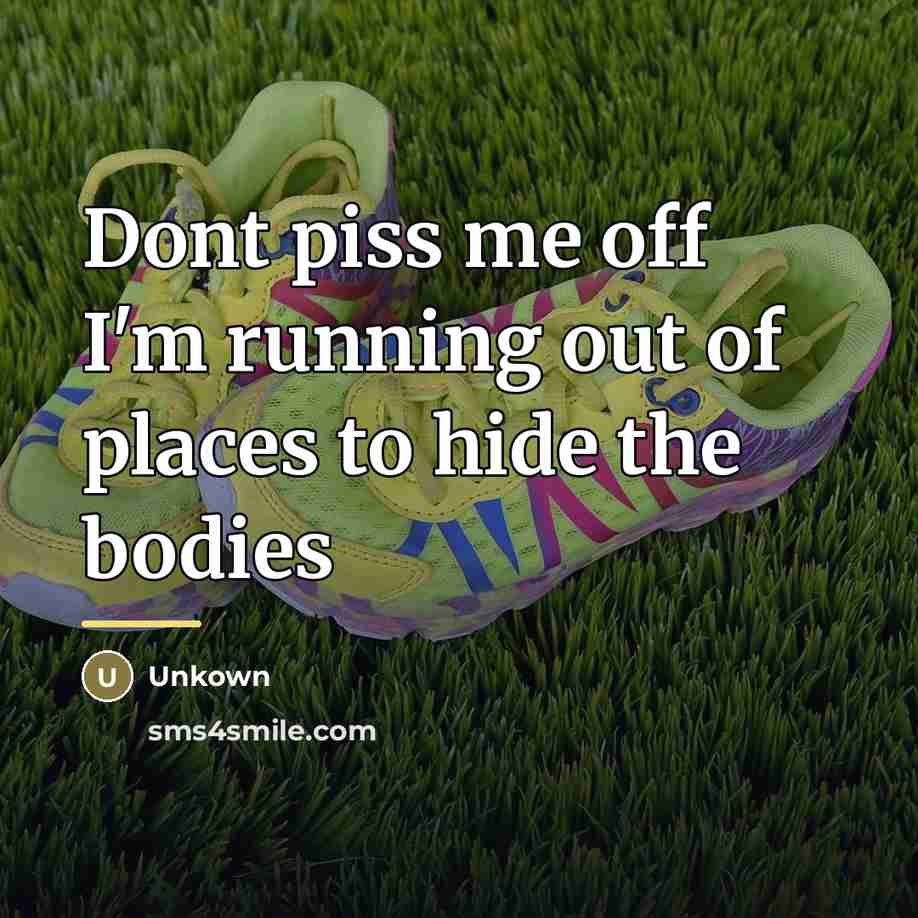 “Dont piss me off I'm running out of places to…” quote by Unkown