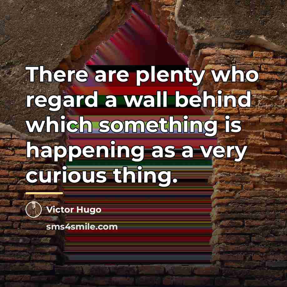 “There are plenty who regard a wall behind which something…” quote by Victor Hugo