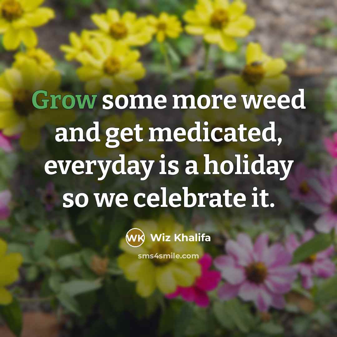 “Grow some more weed and get medicated, everyday is a…” quote by Wiz Khalifa