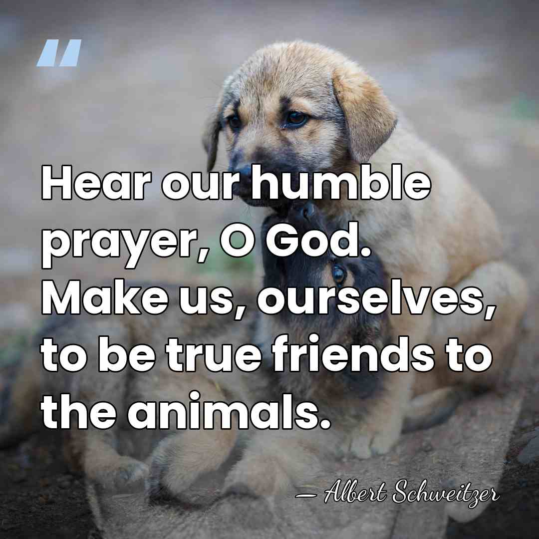 Hear our humble prayer, O God. Make us, ourselves, to be true&hellip; - Albert Schweitzer
