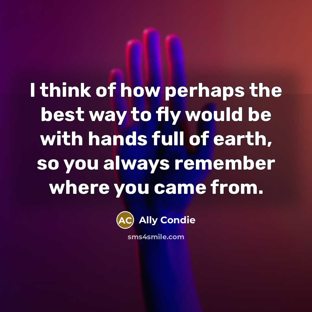 “I think of how perhaps the best way to fly…” quote by Ally Condie