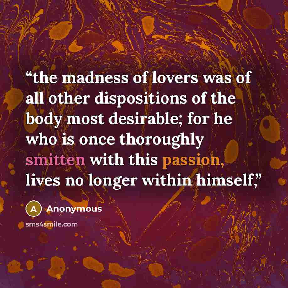 “the madness of lovers was of all other dispositions of the body most desirable; for he who is once thoroughly smitten with this passion, lives no longer within himself,” quote by Anonymous