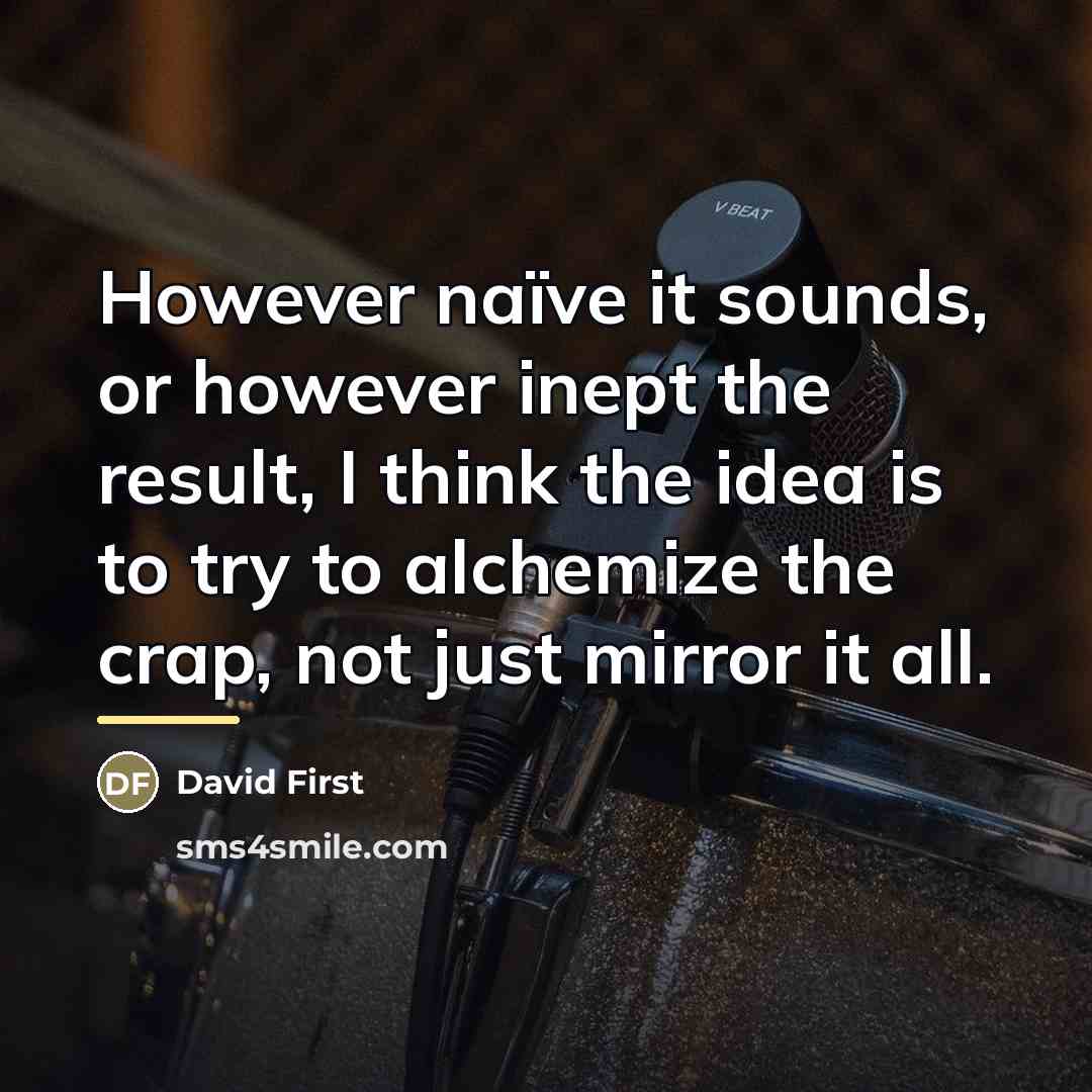 “However naïve it sounds, or however inept the result, I…” quote by David First