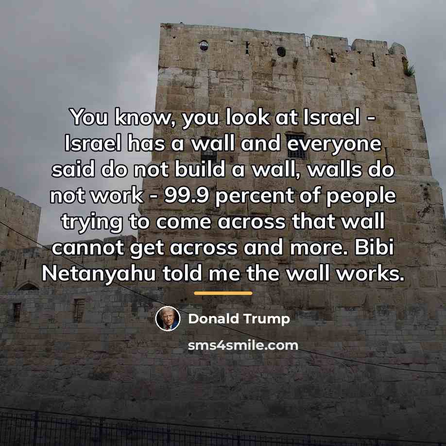 “You know, you look at Israel - Israel has a…” quote by Donald Trump