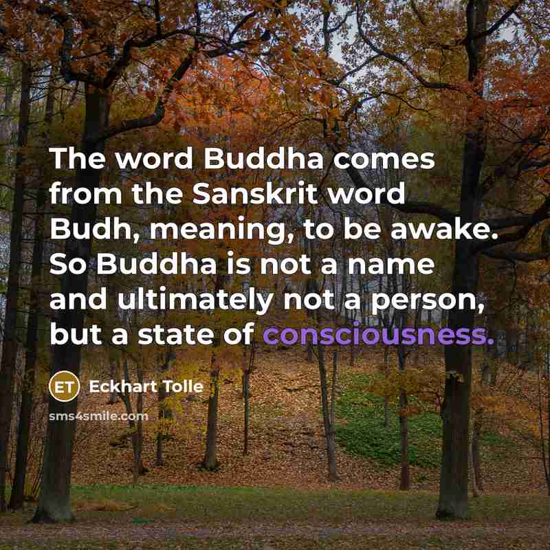 “The word Buddha comes from the Sanskrit word Budh, meaning,…” quote by Eckhart Tolle