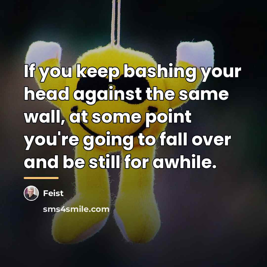 “If you keep bashing your head against the same wall,…” quote by Feist