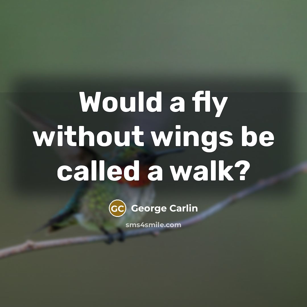 “Would a fly without wings be called a walk?” quote by George Carlin