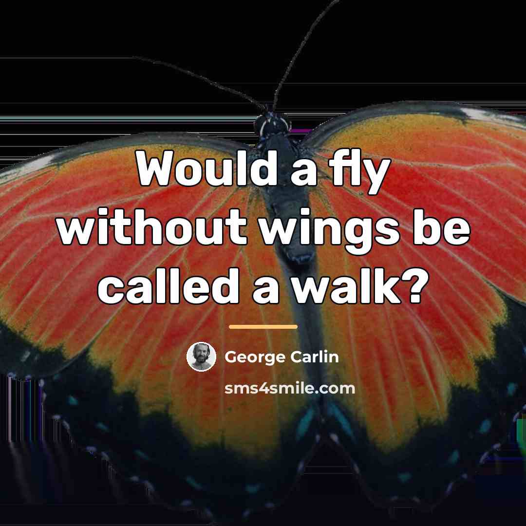 “Would a fly without wings be called a walk?…” quote by George Carlin