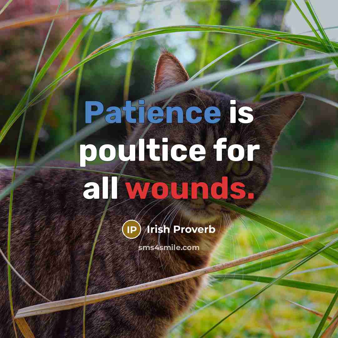 “Patience is poultice for all wounds.…” quote by Irish Proverb