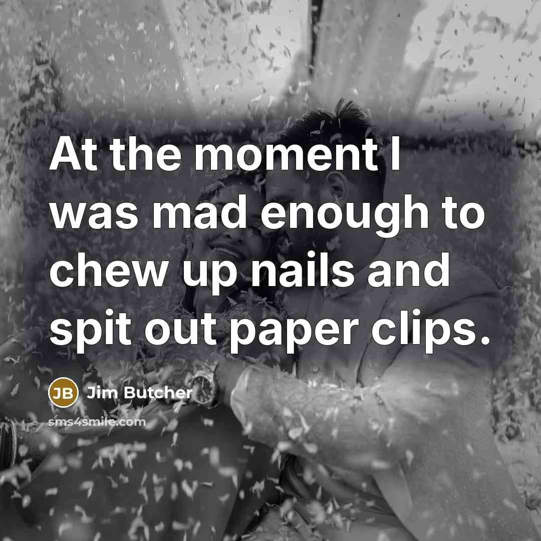 “At the moment I was mad enough to chew up…” quote by Jim Butcher