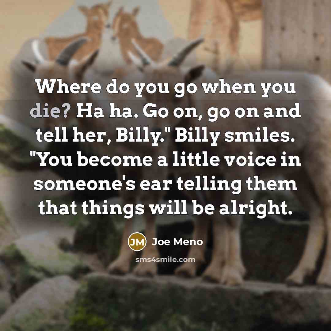 “Where do you go when you die? Ha ha. Go…” quote by Joe Meno