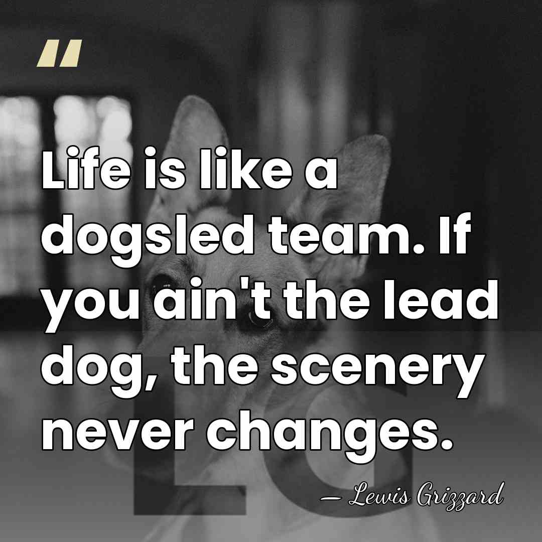 Life is like a dogsled team. If you ain't the lead dog,&hellip; - Lewis Grizzard