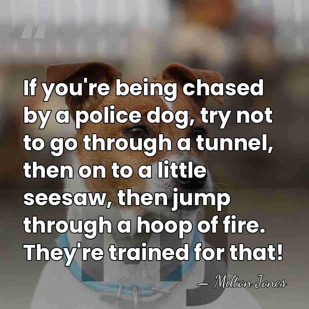 If you're being chased by a police dog, try not to go&hellip; - Milton Jones