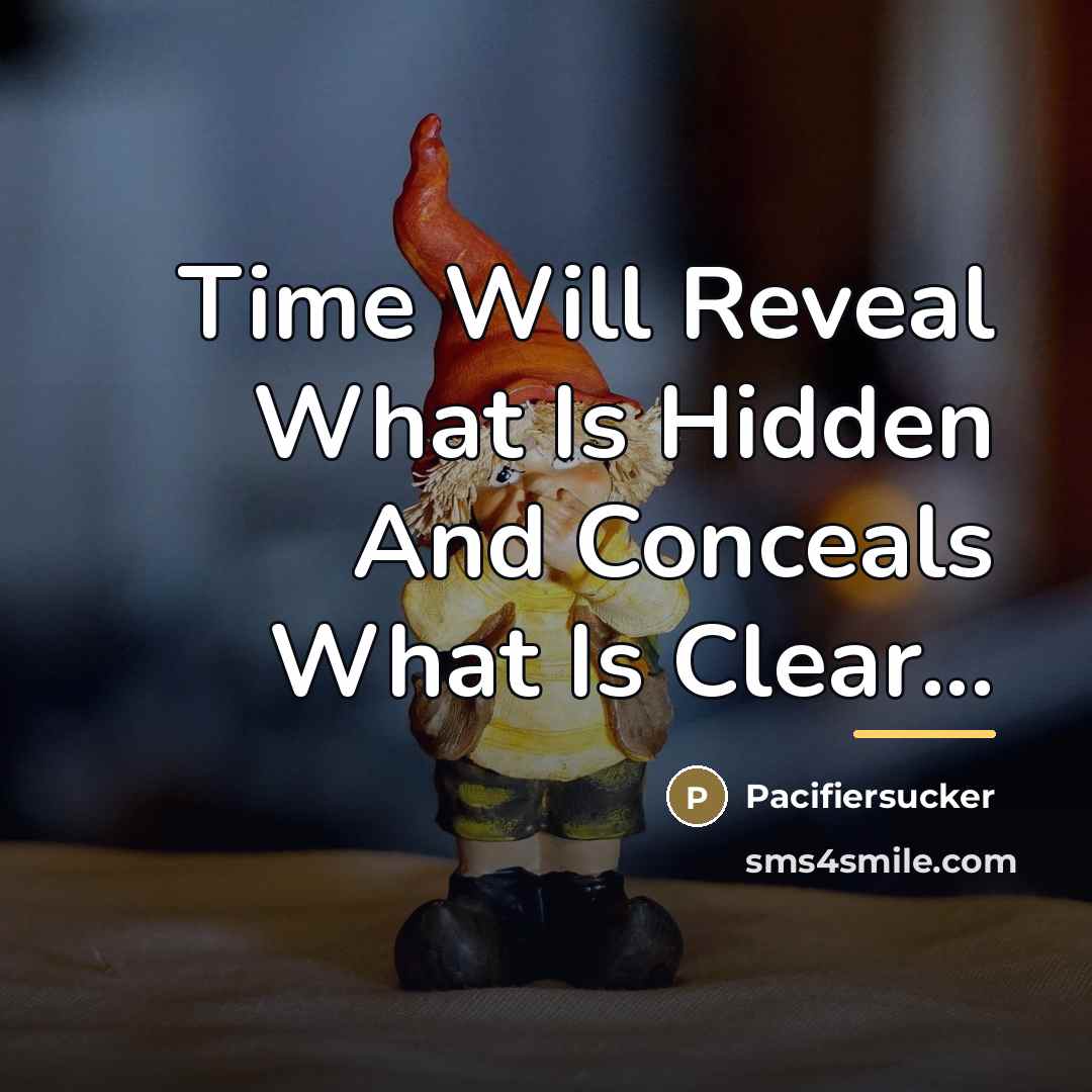 “Time Will Reveal What Is Hidden And Conceals What Is…” quote by Pacifiersucker