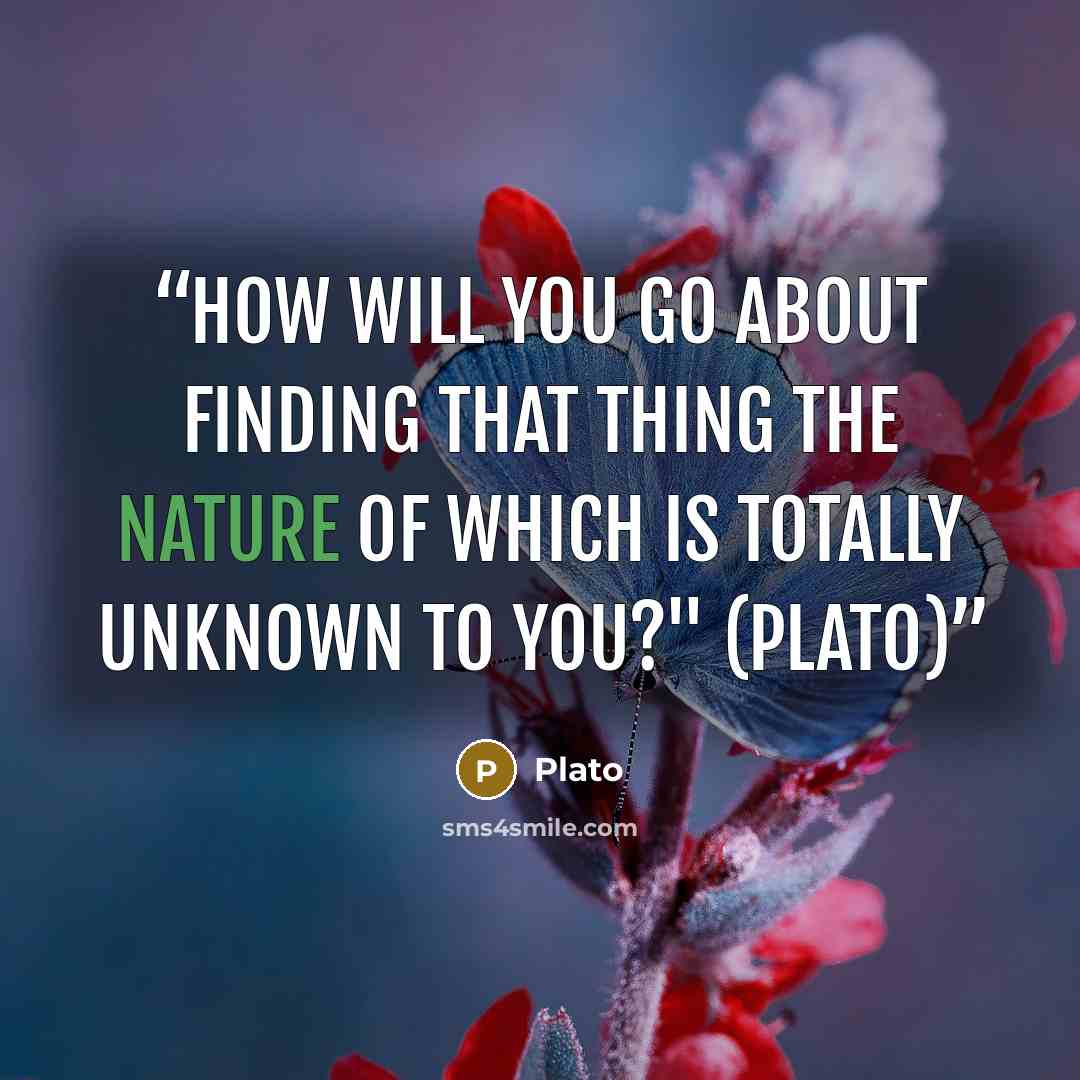 “How will you go about finding that thing the nature of which is totally unknown to you?" (Plato)” quote by Plato