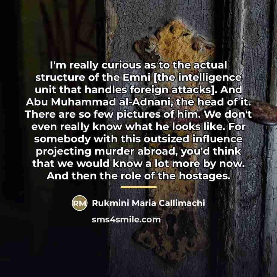 “I'm really curious as to the actual structure of the…” quote by Rukmini Maria Callimachi