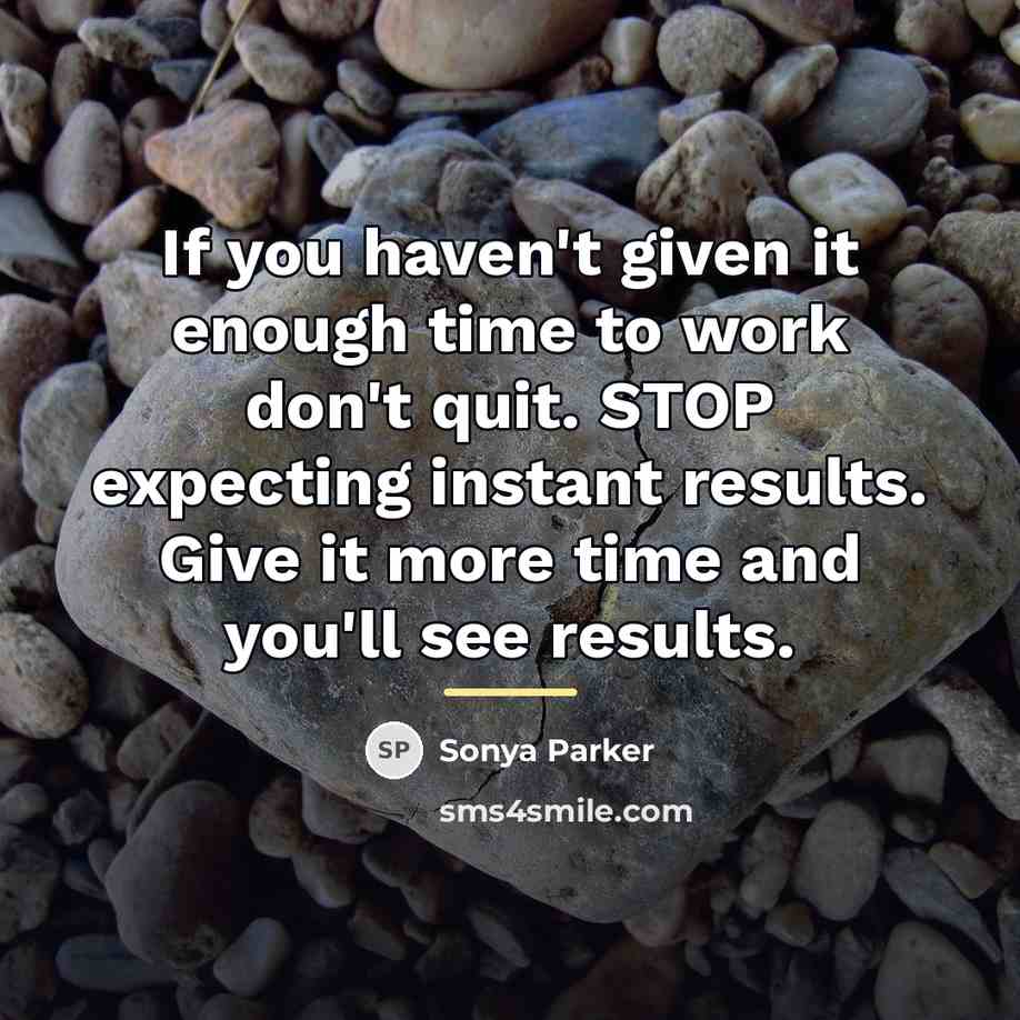 “If you haven't given it enough time to work don't…” quote by Sonya Parker