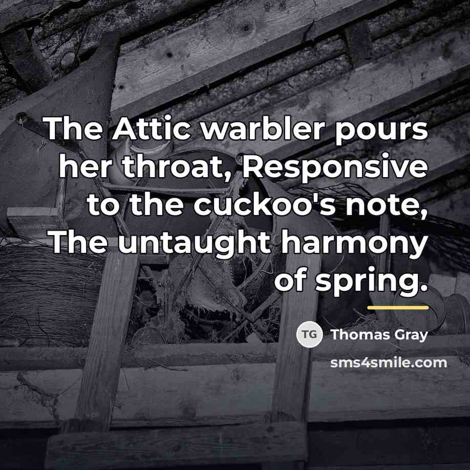 “The Attic warbler pours her throat, Responsive to the cuckoo's…” quote by Thomas Gray