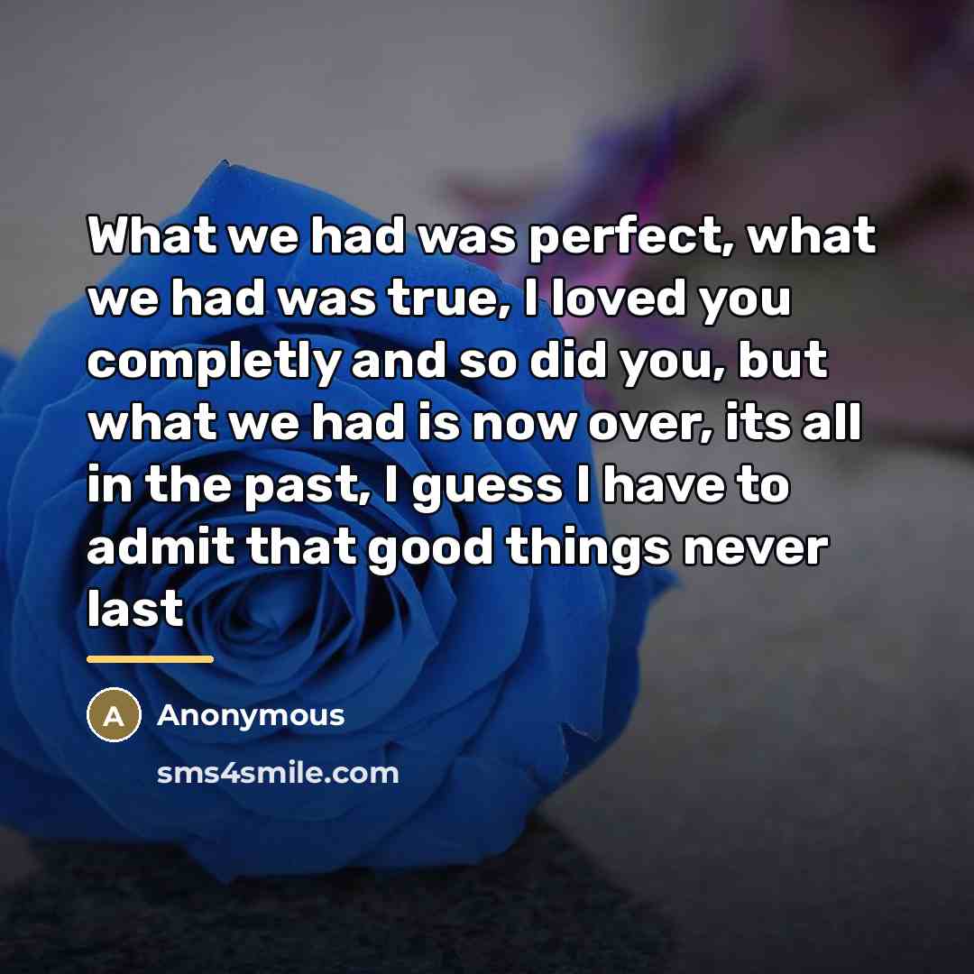 “What we had was perfect, what we had was true,…” quote by Anonymous