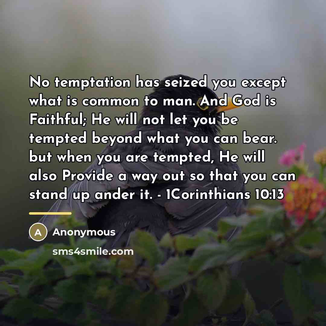 “No temptation has seized you except what is common to…” quote by Anonymous