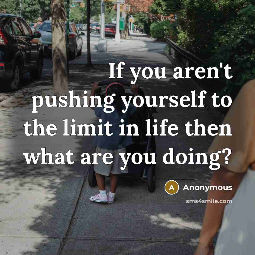 “If you aren't pushing yourself to the limit in life…” quote by Anonymous