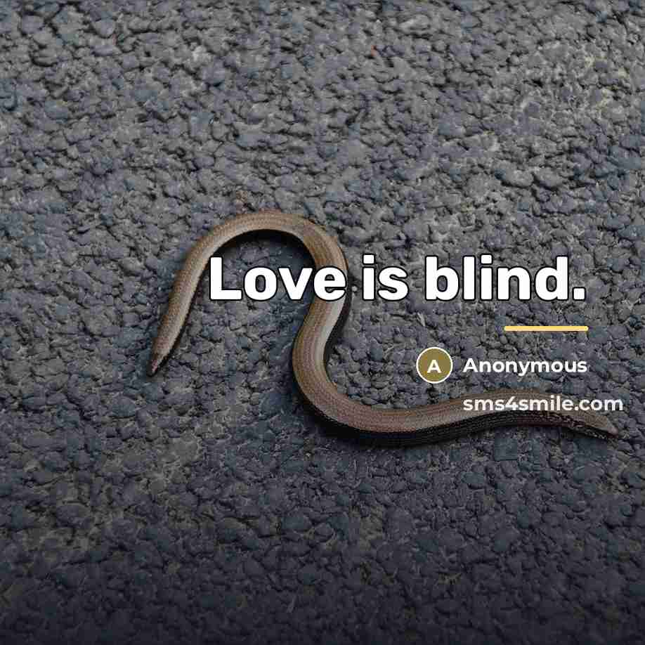 “Love is blind.…” quote by Anonymous