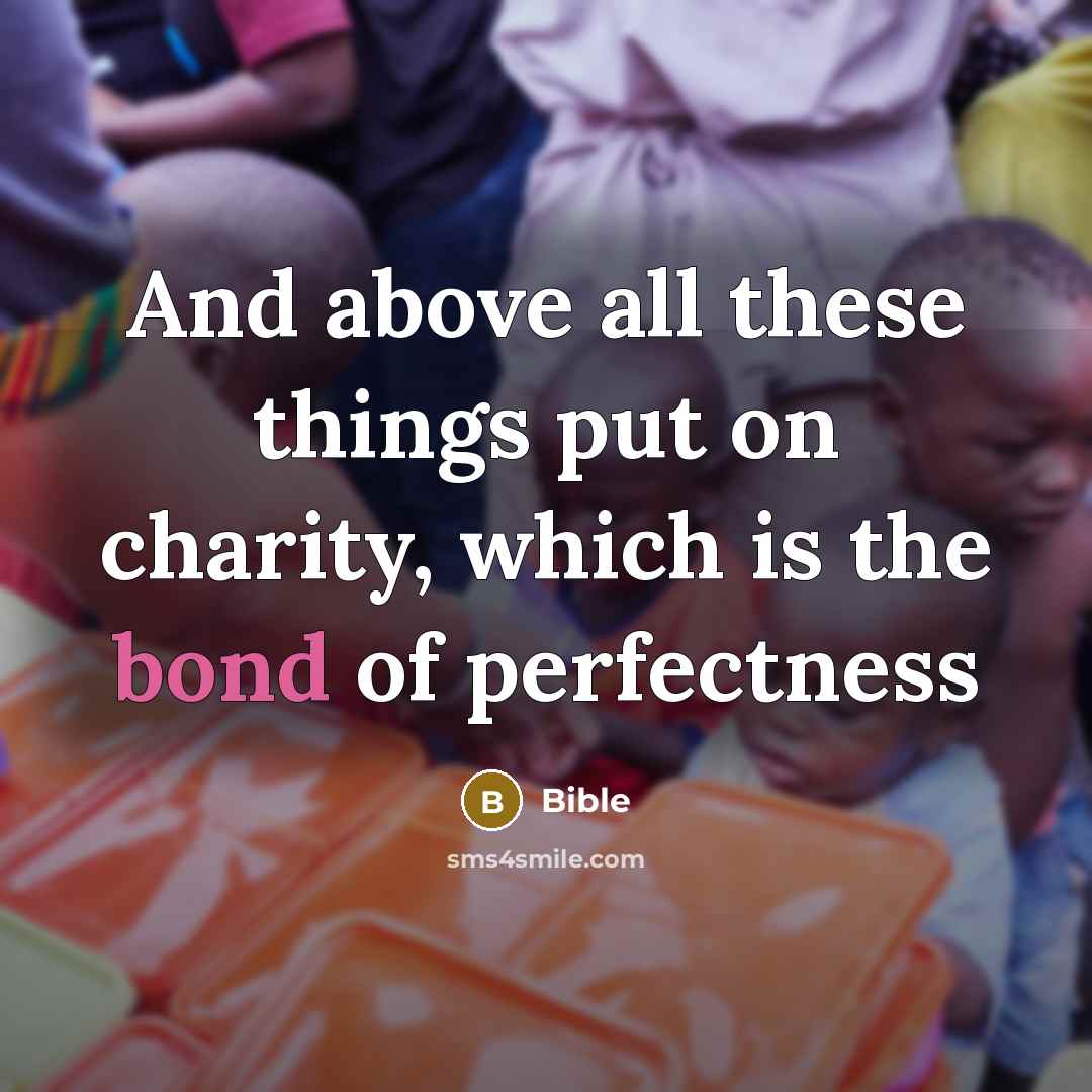 “And above all these things put on charity, which is the bond of perfectness” quote by Bible