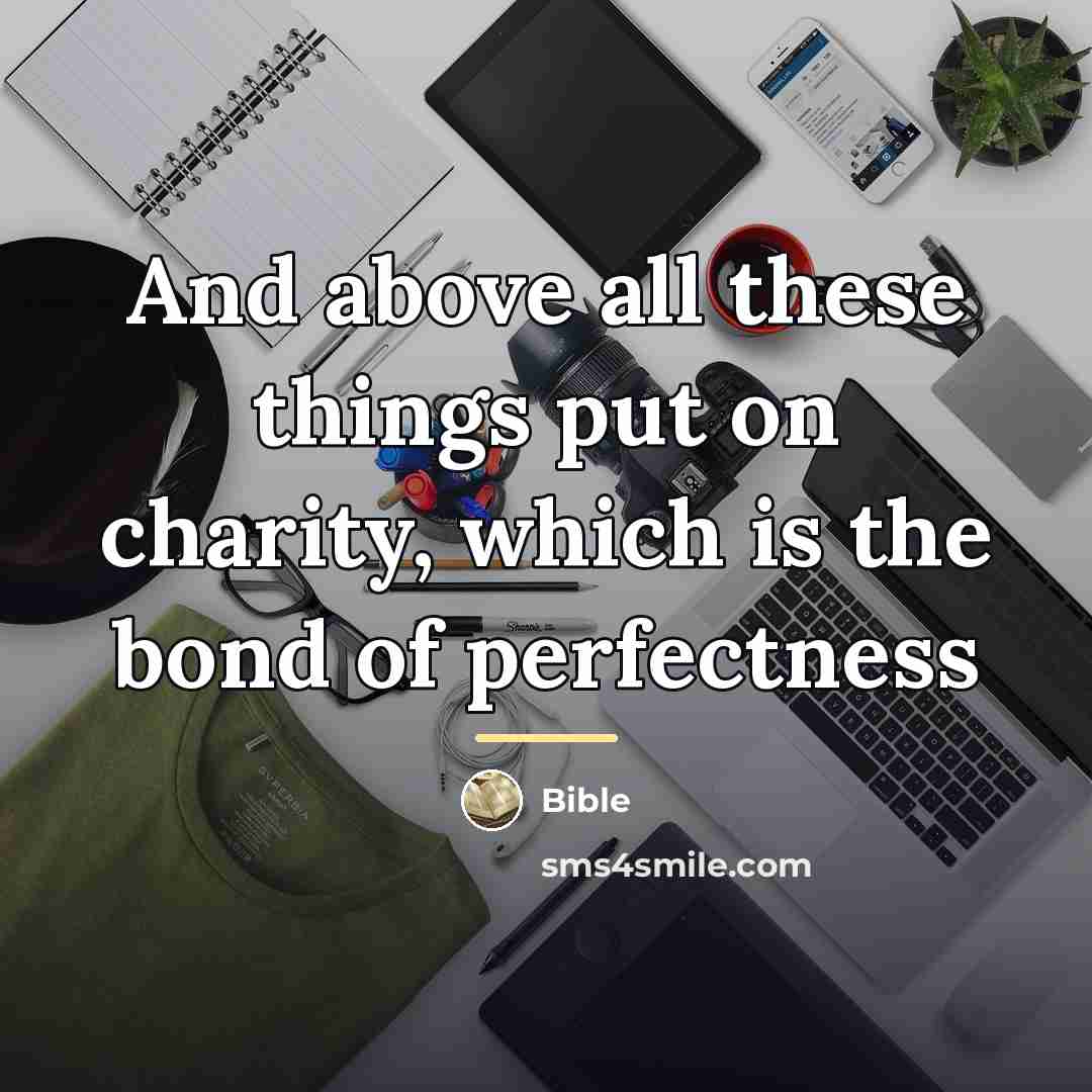 “And above all these things put on charity, which is…” quote by Bible