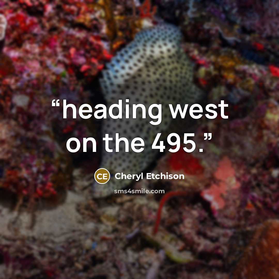 “heading west on the 495.” quote by Cheryl Etchison