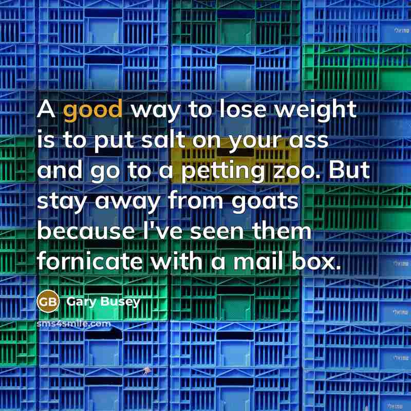 “A good way to lose weight is to put salt…” quote by Gary Busey