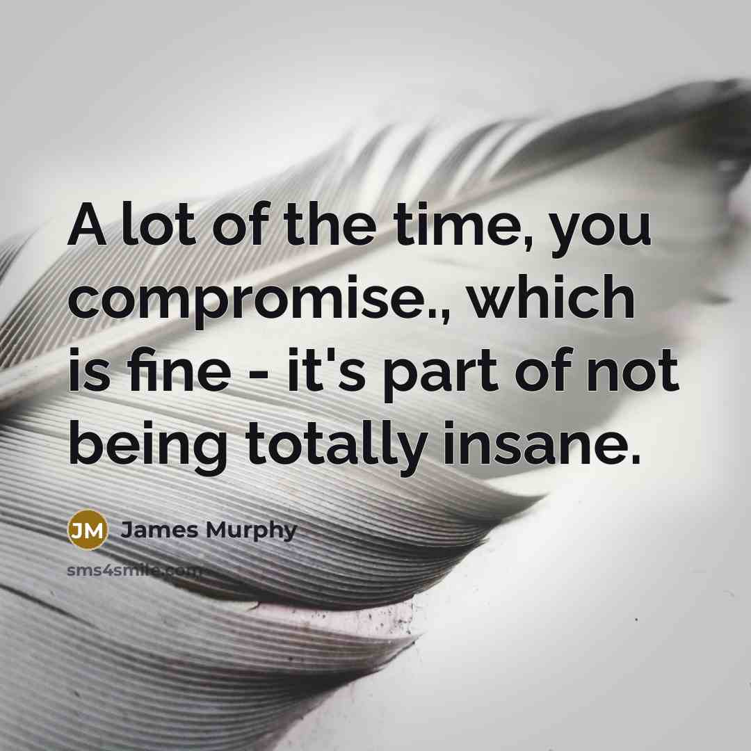 “A lot of the time, you compromise., which is fine…” quote by James Murphy
