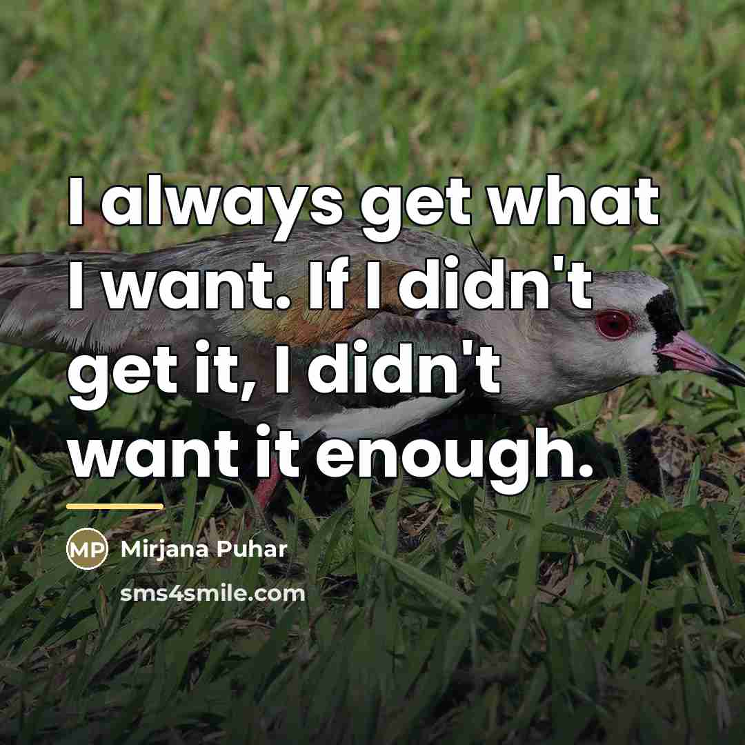 “I always get what I want. If I didn't get…” quote by Mirjana Puhar