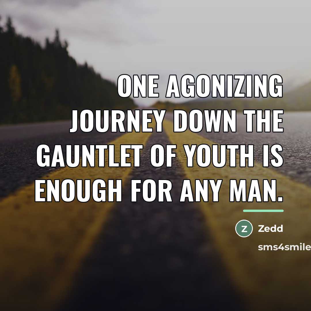 “One agonizing journey down the gauntlet of youth is enough…” quote by Zedd