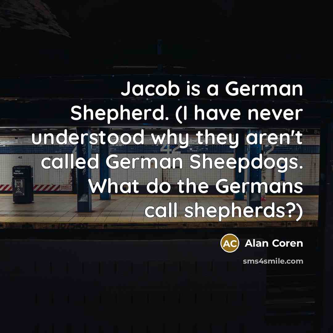 “Jacob is a German Shepherd. (I have never understood why they aren't called German Sheepdogs. What do the Germans call shepherds?)” quote by Alan Coren