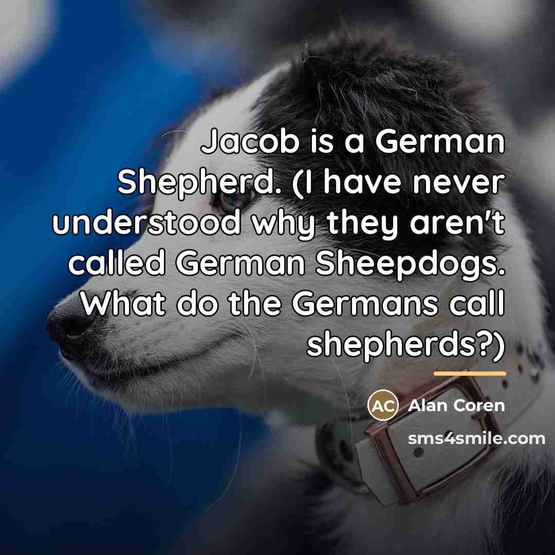 “Jacob is a German Shepherd. (I have never understood why…” quote by Alan Coren