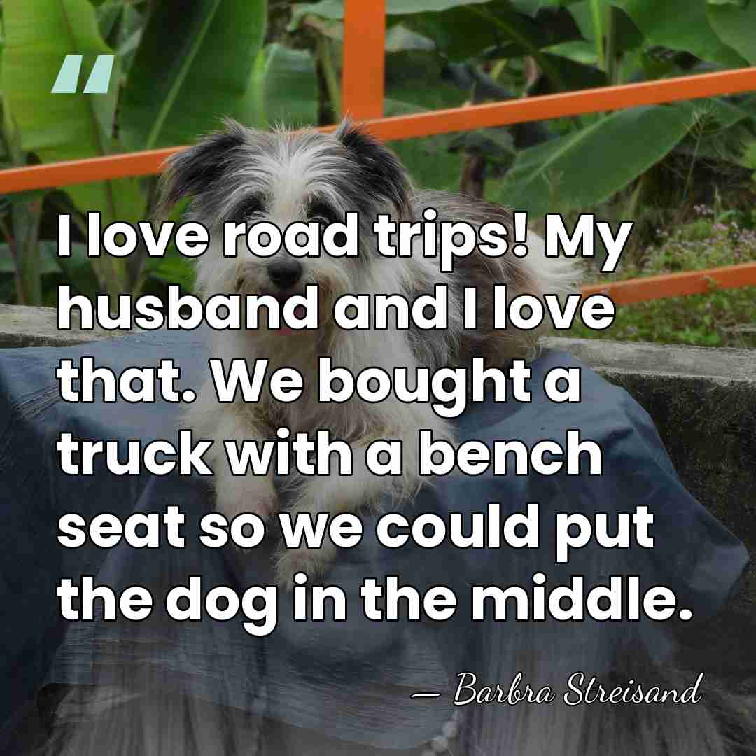 I love road trips! My husband and I love that. We bought&hellip; - Barbra Streisand