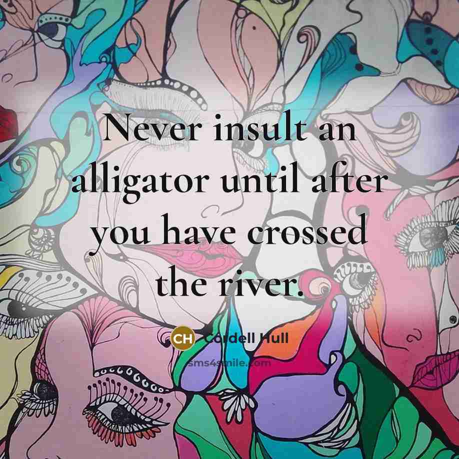 “Never insult an alligator until after you have crossed the river.” quote by Cordell Hull