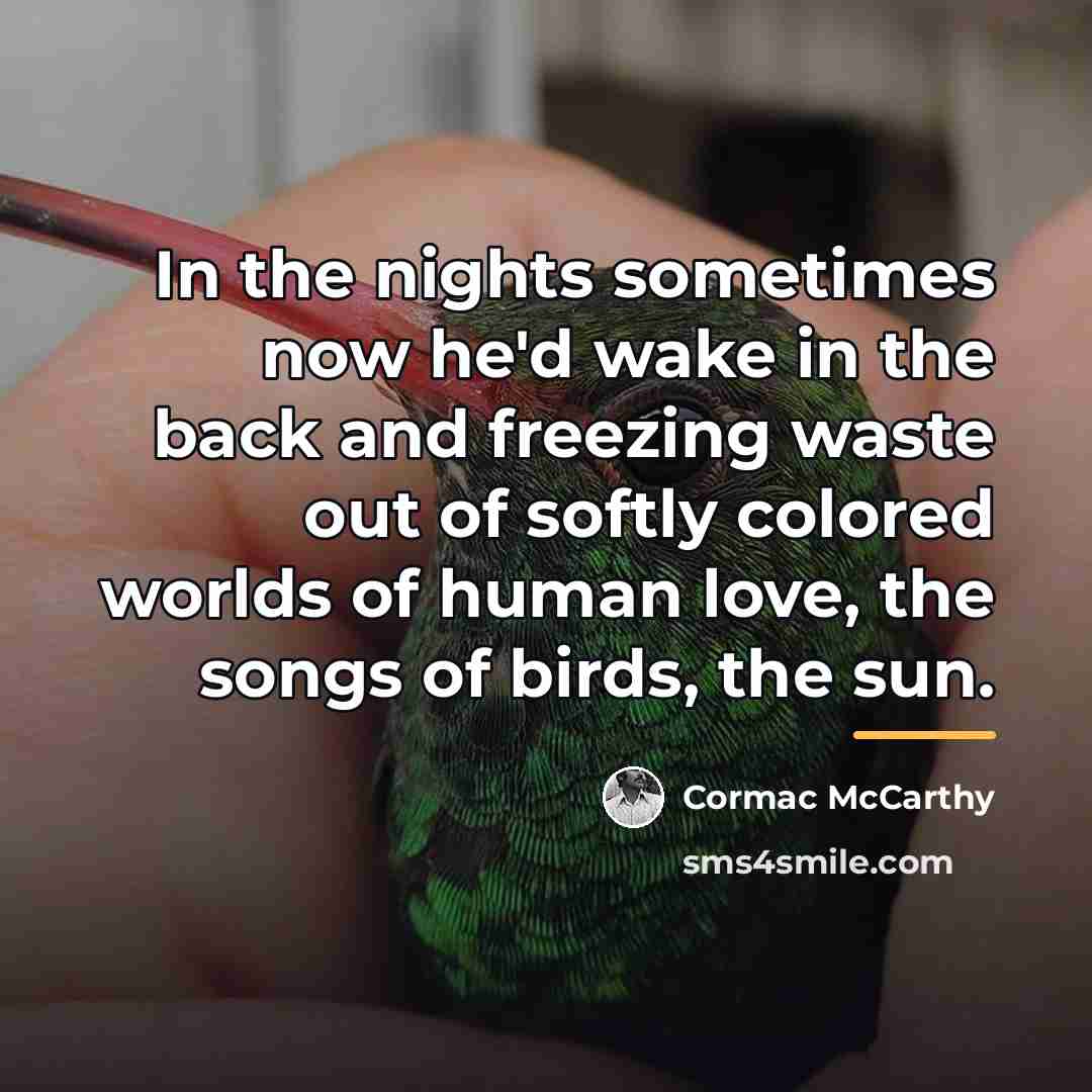 “In the nights sometimes now he'd wake in the back…” quote by Cormac McCarthy