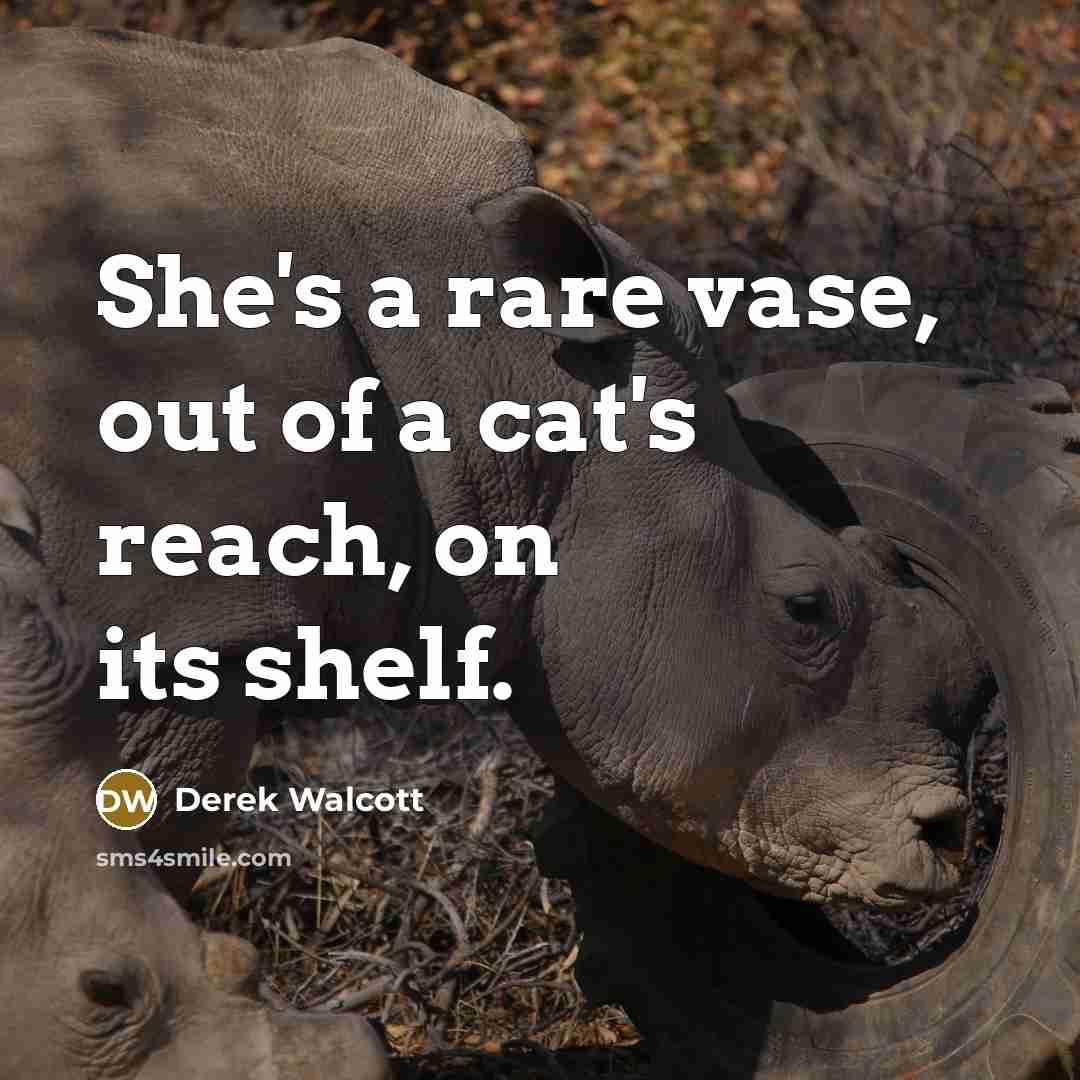 “She's a rare vase, out of a cat's reach, on…” quote by Derek Walcott