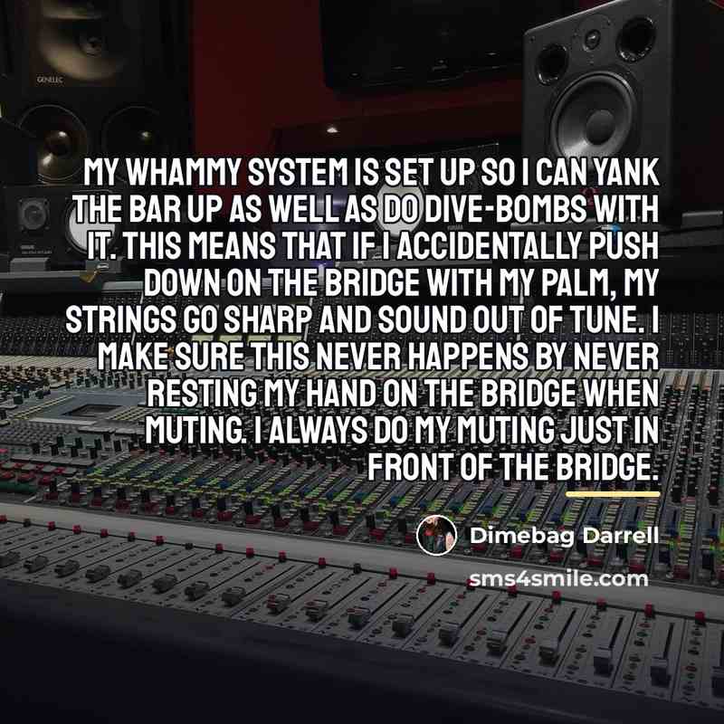 “My whammy system is set up so I can yank…” quote by Dimebag Darrell
