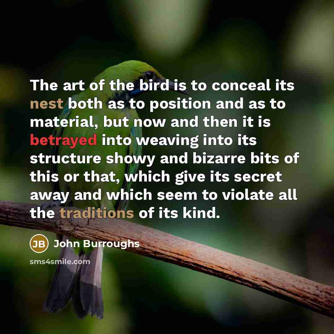 “The art of the bird is to conceal its nest…” quote by John Burroughs