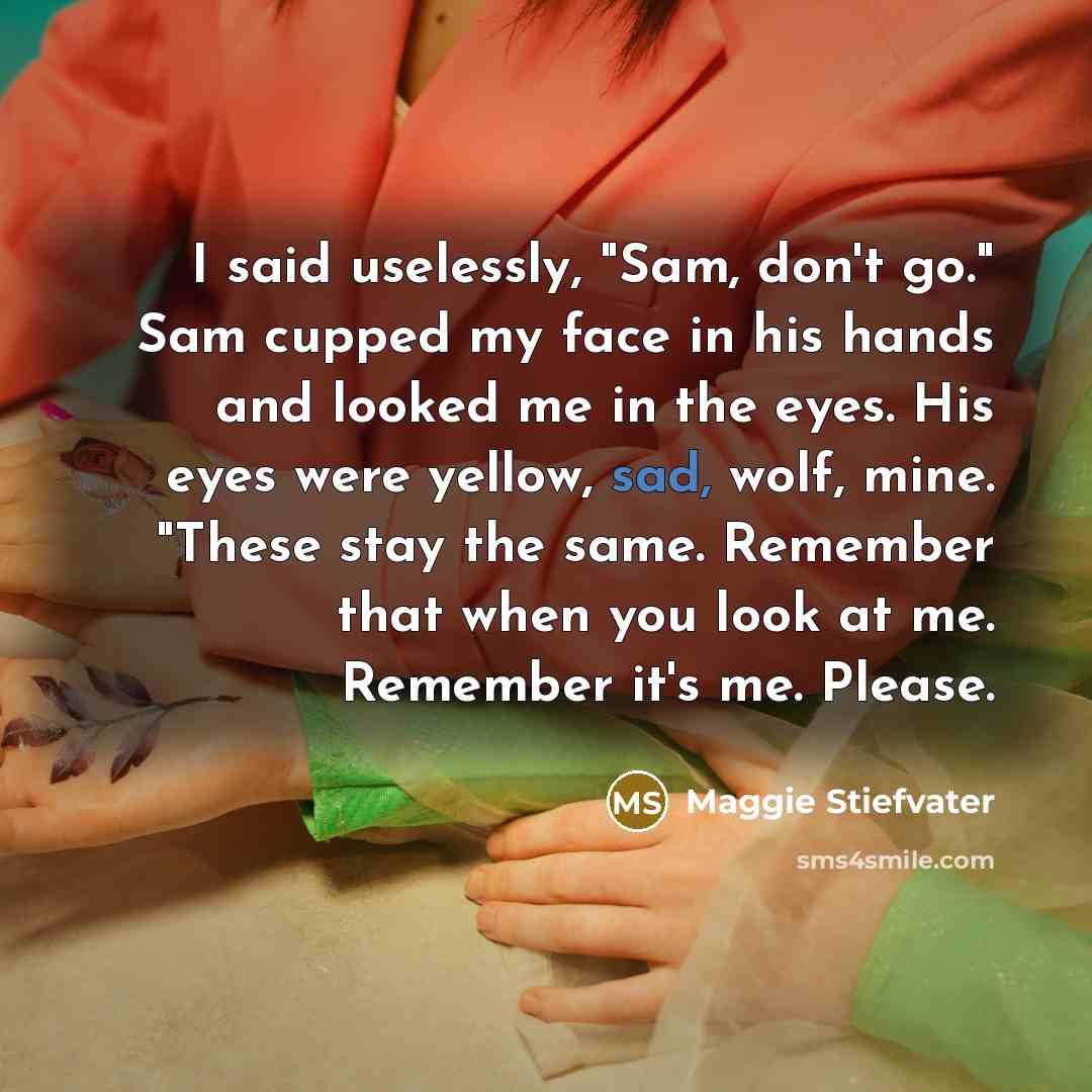 “I said uselessly, "Sam, don't go." Sam cupped my face…” quote by Maggie Stiefvater