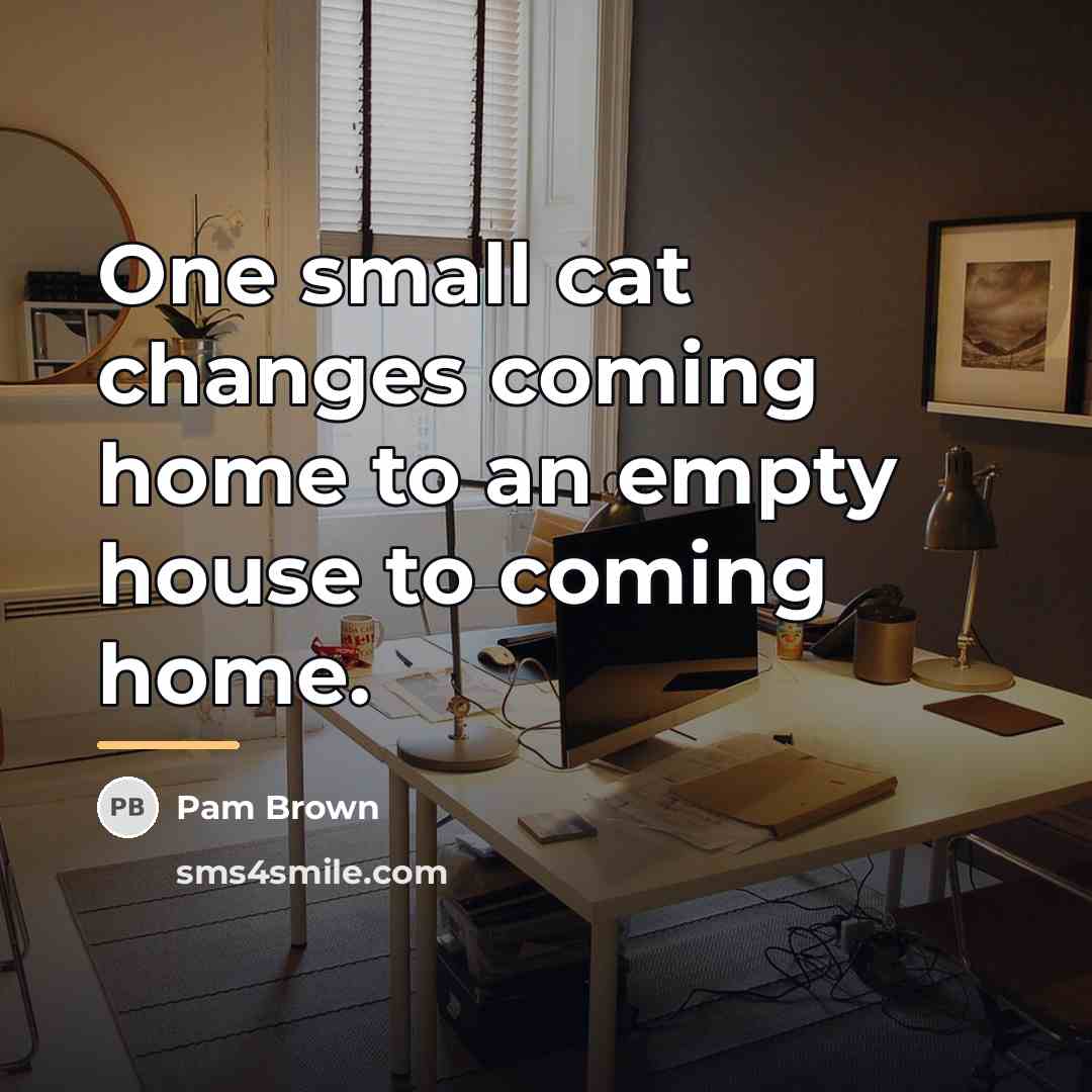 “One small cat changes coming home to an empty house…” quote by Pam Brown